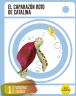 El caparazón roto de Catalina. 1.º Primaria