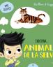 Animals de la selva
