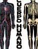 El cuerpo humano