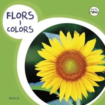 Flors i colors